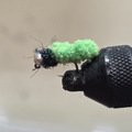Mop Fly