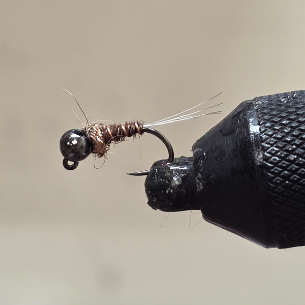 Pheasant Tail Fly