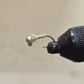 Sexy Walt Worm Fly