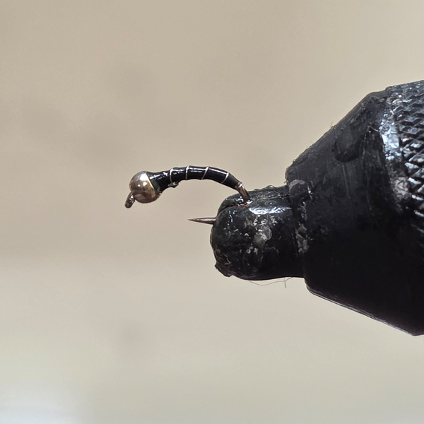 Zebra Midge Fly